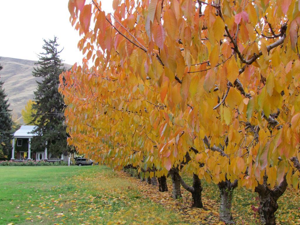 Warm Springs Inn & Winery Sunnyslope Экстерьер фото